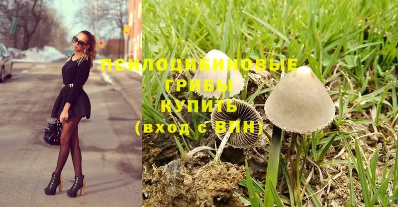 Галлюциногенные грибы Cubensis  Киренск 